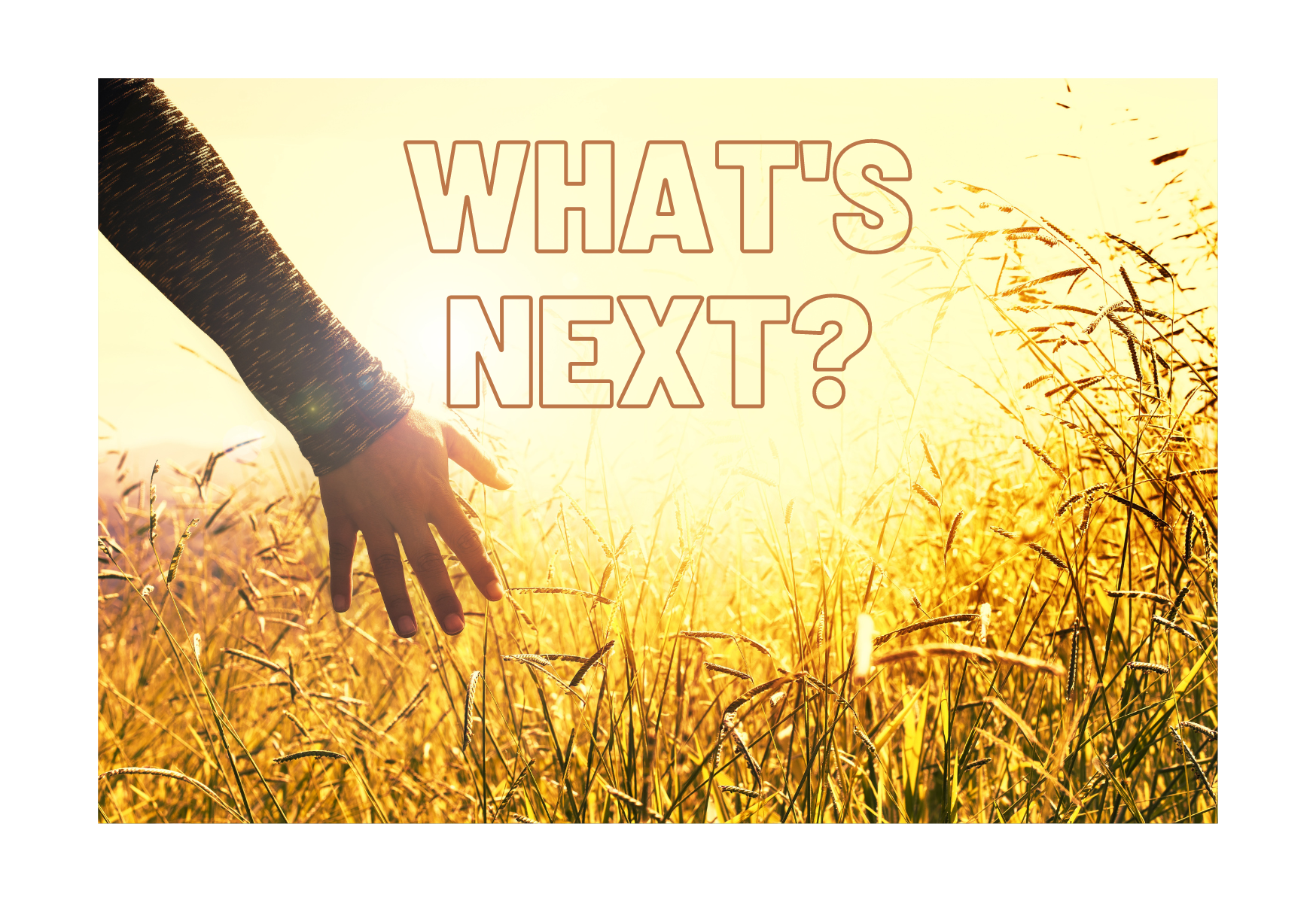 How To Figure Out What To Do Next In Your Career image